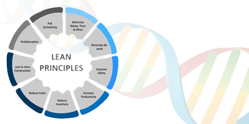 DNA of Lean